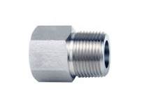 Stainless Steel 316L Adapter