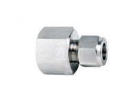 Stainless Steel 317L Female Connector