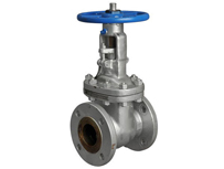 Cast Steel Globe Valve