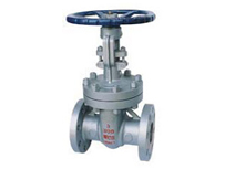 Cast Steel Gate Valve