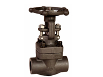 Alloy Steel Forged Globe Valve