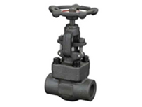 Carbon Steel Forged Globe Valve