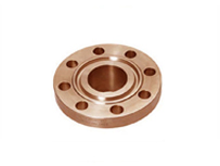 Cu-Ni 90/10 Ring Type Joint Flanges