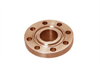 Cu-Ni 70/30 Ring Type Joint Flanges