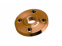 Cu-Ni 70/30 Threaded Flanges