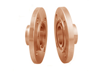 Cu-Ni 90/10 Tongue & Groove Flanges