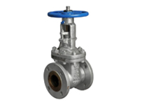 Cast Steel Gate Valve