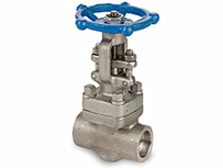 Forged Gate Valve