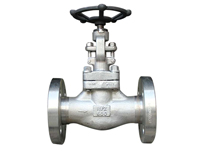 Duplex Steel Forged Globe Valve