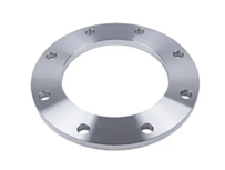 SS 317L Plate Flanges