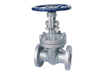 Cast Steel Globe Valve