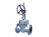 Cast Steel Gate Valve