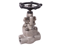 Stainless Steel Forged Globe Valve