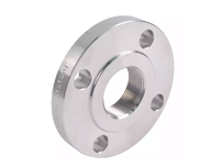 SS 317L Threaded / Screwed Flanges