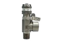 Stainless Steel Safety Relief Valve