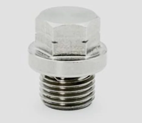 Stainless Steel Duplex Blanking Plug