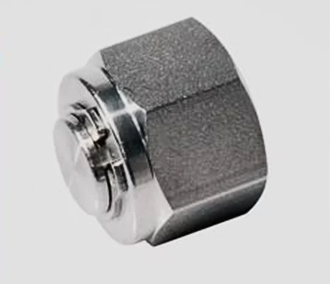 Stainless Steel Duplex Plug