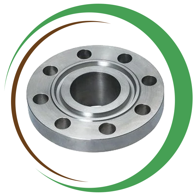 Inconel Ring Type Joint Flange