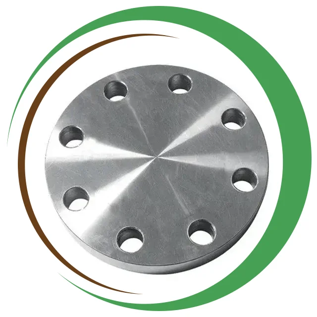 Stainless Steel 310 310S Flanges