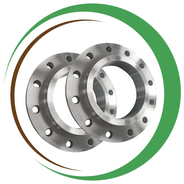 Stainless Steel 316 316L 316Ti Flanges