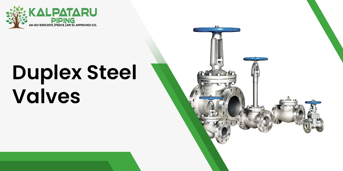 Duplex Steel Valves