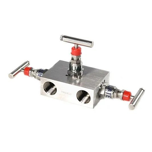 Hastelloy C22 Manifold Valve