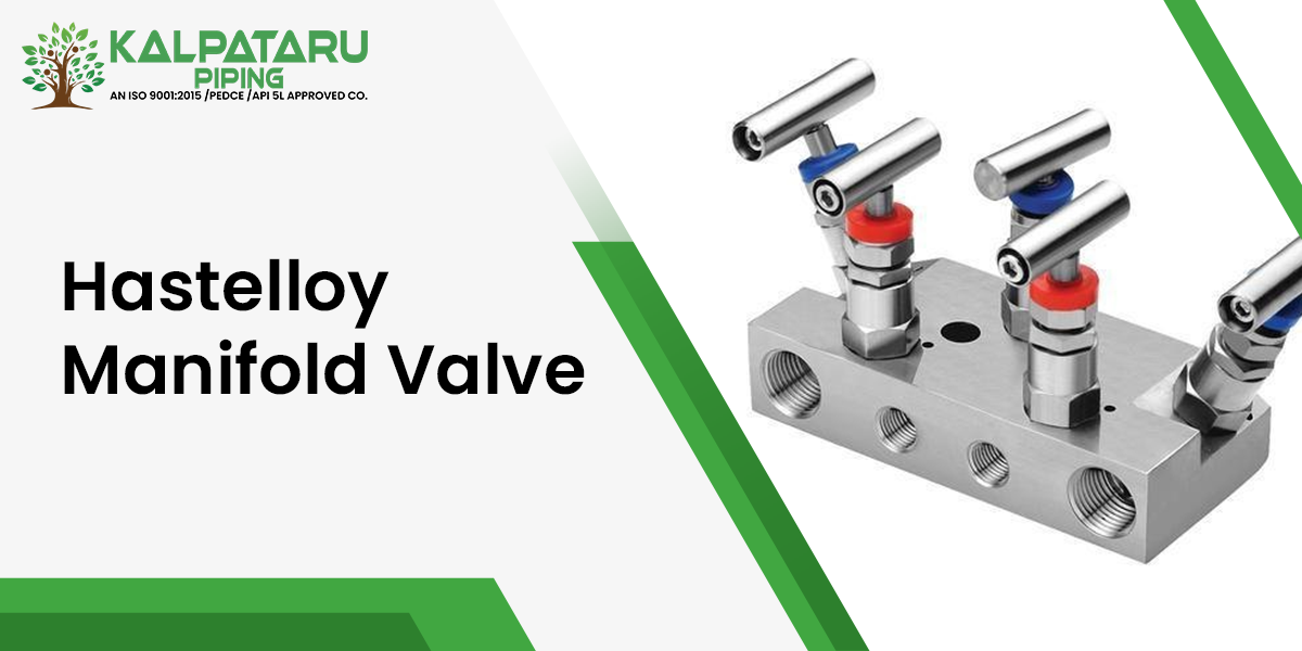 Hastelloy Manifold Valve