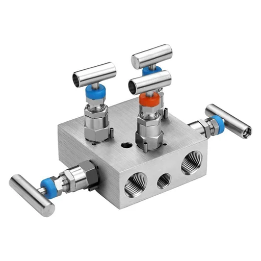 Stainless Steel 317L Manifold Valve