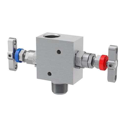 Stainless Steel 904L Manifold Valve
