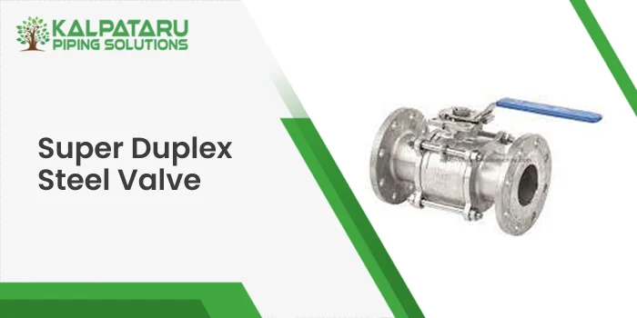Super Duplex Steel Valve