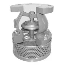 Inconel Foot Valve