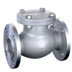 UNS N10276 Swing Check Valves
